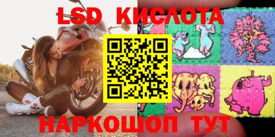 ПСИЛОЦИБИНОВЫЕ ГРИБЫ Кингисепп