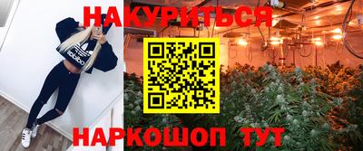 ПСИЛОЦИБИНОВЫЕ ГРИБЫ Кингисепп