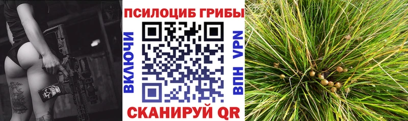 Псилоцибиновые грибы Magic Shrooms  Азов 